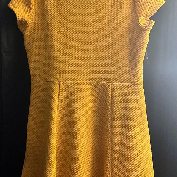 H&M Mustard Textured Skater Dress - Picture 2 of 3